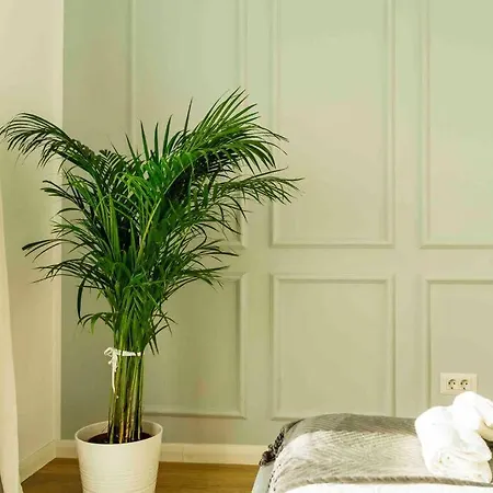 Apartment Bright - Location - Balcony